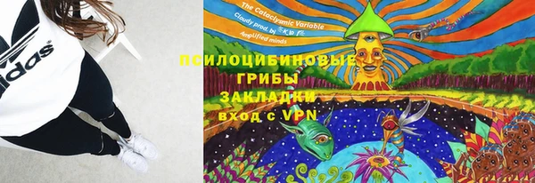 метадон Арсеньев