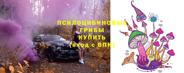 твердый Армянск